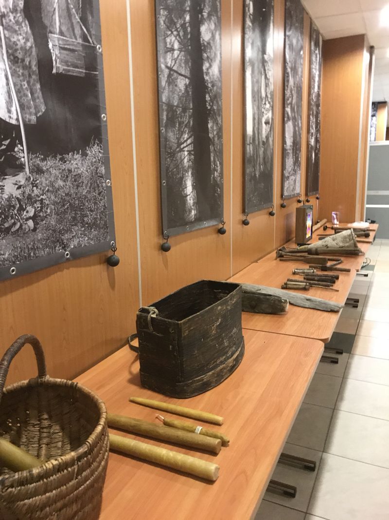 Międzynarodowa Konferencja Bartnicza pt. Dekada Polskiego Bartnictwa. Spała 2017. Autor zdjęć: Małgorzata Brendel