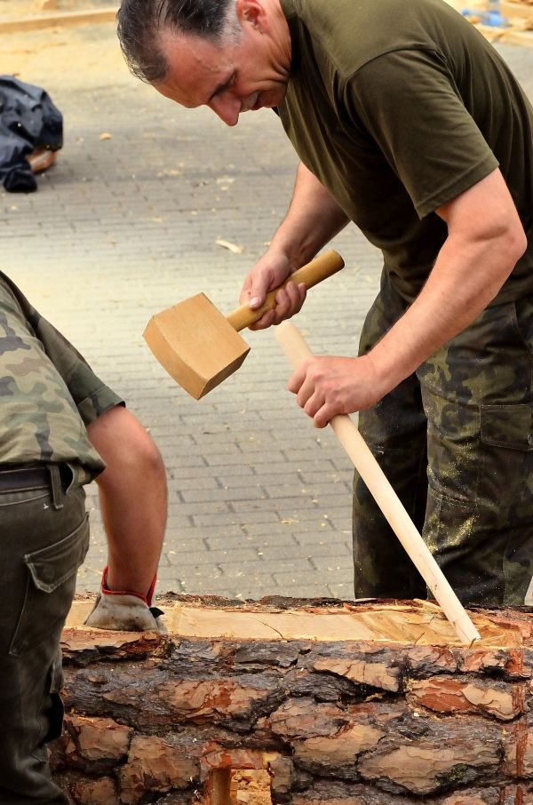 Barciowisko 2015. Autor zdjęć: Katarzyna Judycka (Pasieka u Alfreda).