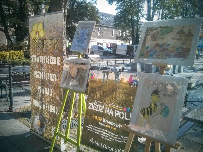 Roll-up Stowarzyszenia Pszczelarzy Powiatu Krakowskiego podczas V Krzeszowickiego Miodobrania. Autorka zdjęcia: Renata Gasek