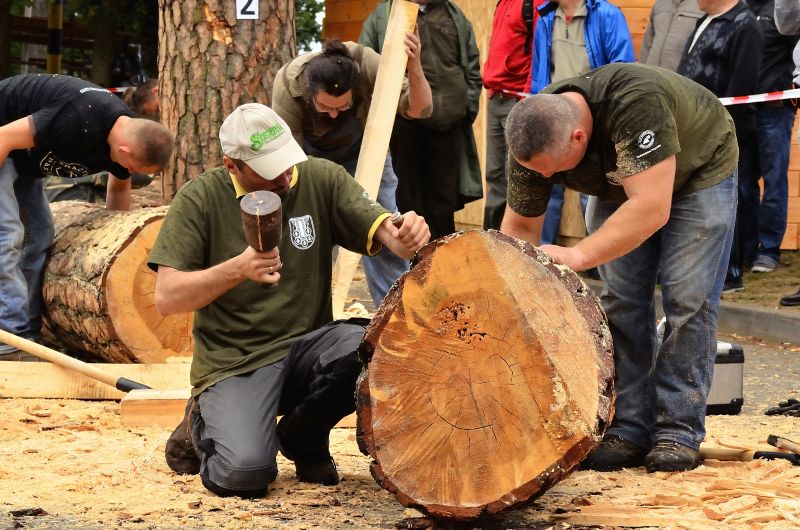 Barciowisko 2015. Autor zdjęć: Katarzyna Judycka (Pasieka u Alfreda).