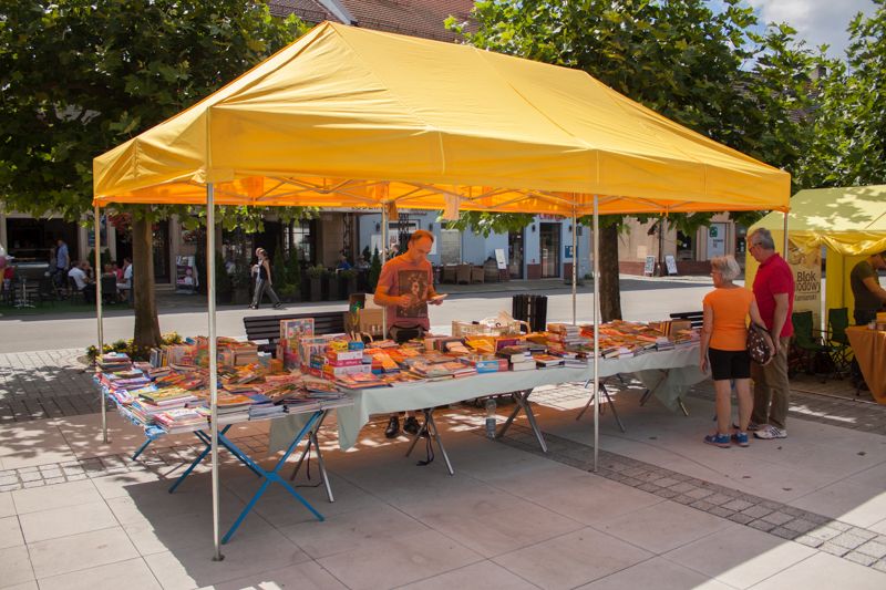 Stoisko z literaturą podczas wydarzenia o nazwie: VII Święto Miodu w Pszczynie. Autor zdjęcia: Kazimierz Wiśniowski