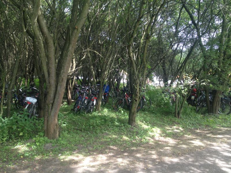 Rowerzyści również bardzo licznie przybyli na XV Spotkanie Pszczelarzy na Trutowisku w Murckach.