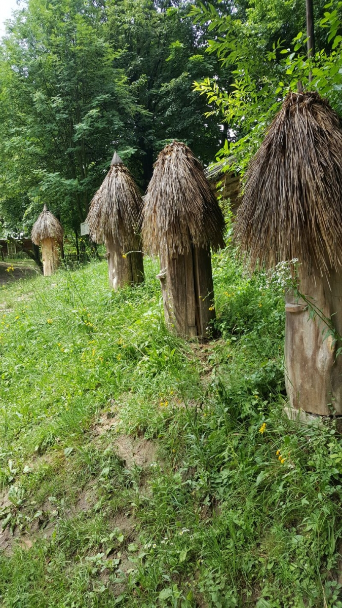 Ule w skansenie Gaj Szewczenki we Lwowie. Autor zdjęcia: Filip Janusz