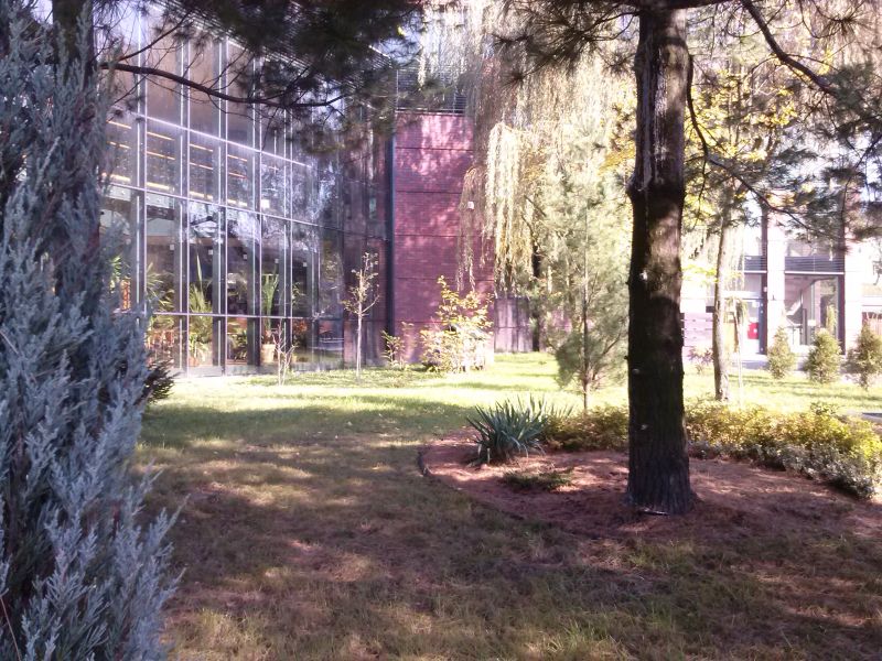 Domek dla dzikich zapylaczy obok Miejskiej Biblioteki Publicznej w Jaworznie. Widok potwierdzający niską widoczność domku dla przechodniów. Autor zdjęcia: Marcin Balana