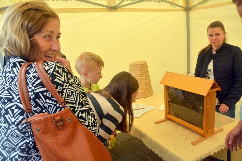 Dużym zainteresowaniem cieszył się ul pokazowy na stoisku Pogórskiego Związku Pszczelarzy w Tarnowie podczas I Konferencji Pszczelarskiej w Brzesku (02.09.2017 r.). Autor zdjęcia: Marek Kotfis