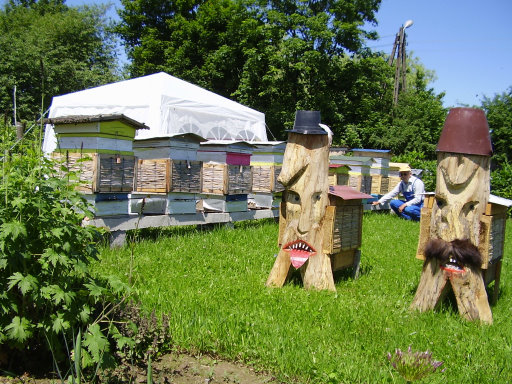 Pasieka Tadeusza Kąkola. Autor: Tadeusz Kąkol