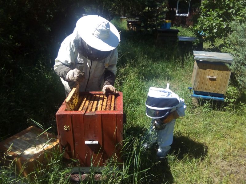 Pasieka Barbara i Edward Gołota