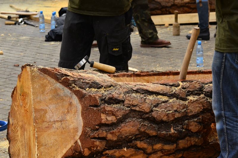 Barciowisko 2015. Autor zdjęć: Katarzyna Judycka (Pasieka u Alfreda).