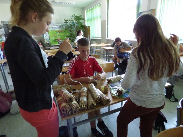 Uczniowie ZS w Lubianie wykonują gniazda dla pszczół z trzciny pospolitej.  Źródło zdjęcia: materiały przekazane przez p. Agnieszkę Gałwa.