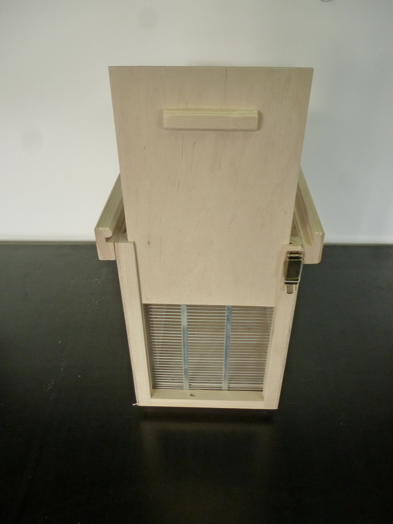 Na zdjęciu: rojnica wielkopolska. Źródło zdjęcia: materiały firmy Bartnicy.pl.