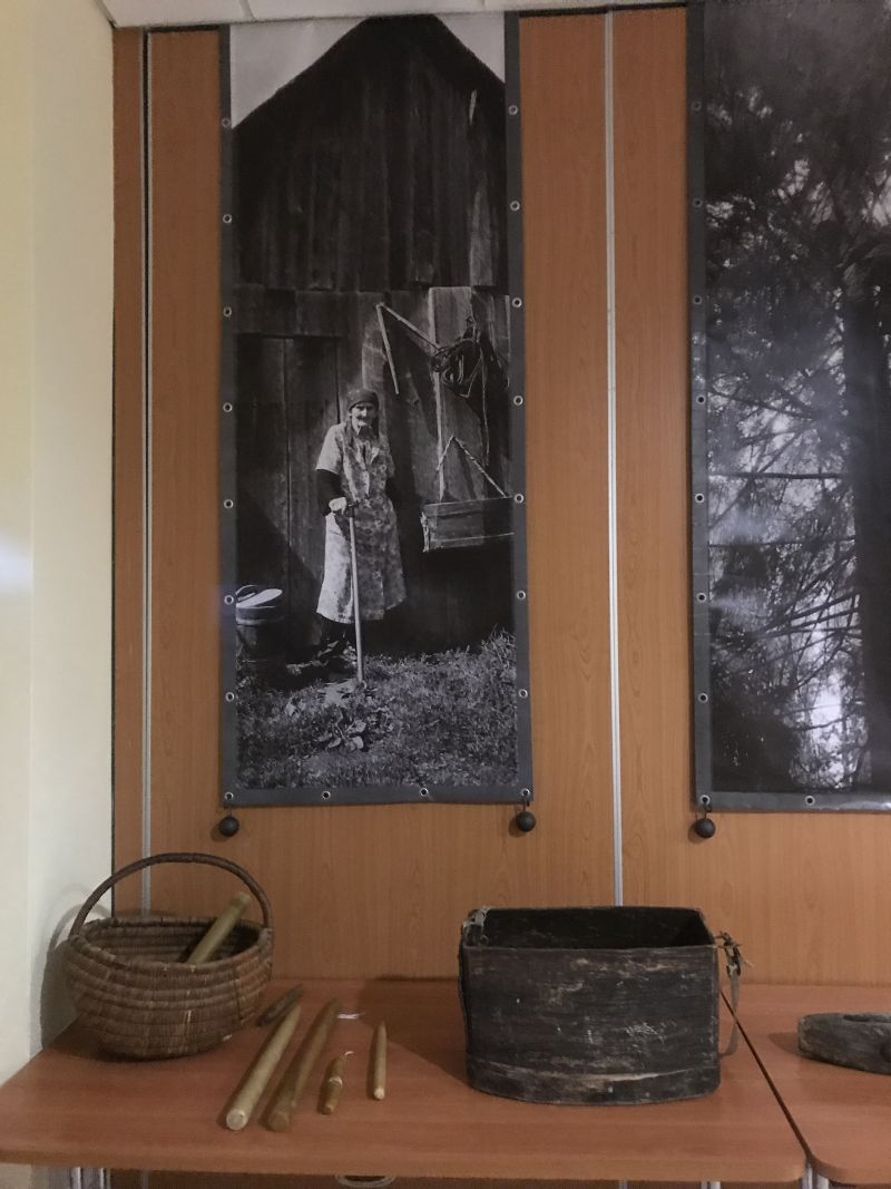 Międzynarodowa Konferencja Bartnicza pt. Dekada Polskiego Bartnictwa. Spała 2017. Autor zdjęć: Małgorzata Brendel