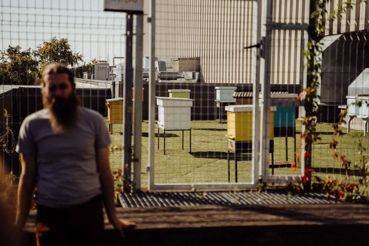 Relacja z wydarzenia pt. Festiwal Kultury Pszczelarskiej w Lublinie 2023