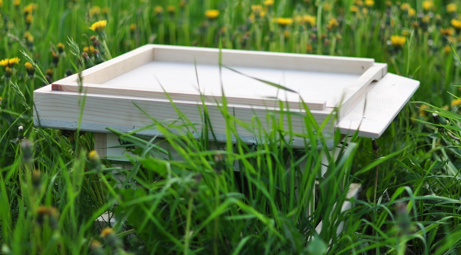 Dennica niska ocieplona - element ula wielkopolskiego. Źródło zdjęcia: Bartnicy.pl