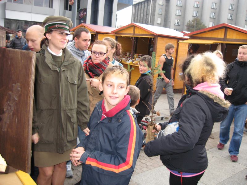 Pszczoły żywo interesowały uczestników II Festiwalu Miodu w Katowicach. Autor zdjęcia: Kazimierz Wiśniowski