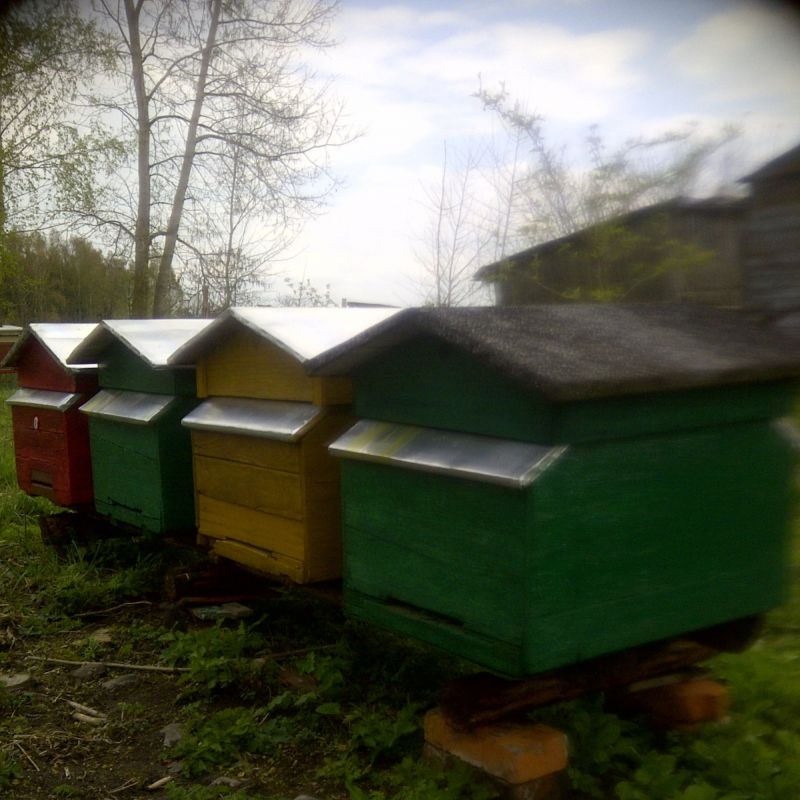 Tu są po remoncie dziś