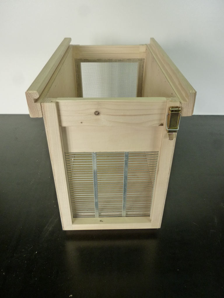 Na zdjęciu: rojnica wielkopolska. Źródło zdjęcia: materiały firmy Bartnicy.pl.