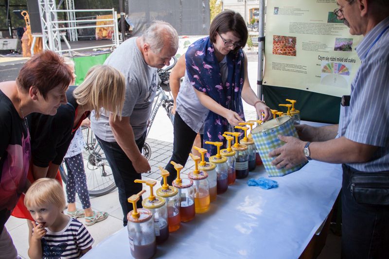 Kosztowanie różnych rodzajów miodów podczas VII Święta Miodu w Pszczynie. Autor zdjęcia: Kazimierz Wiśniowski
