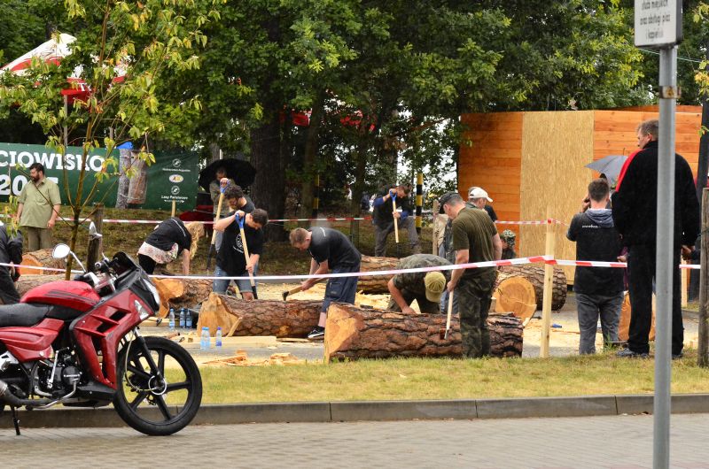 Barciowisko 2015. Autor zdjęć: Katarzyna Judycka (Pasieka u Alfreda).