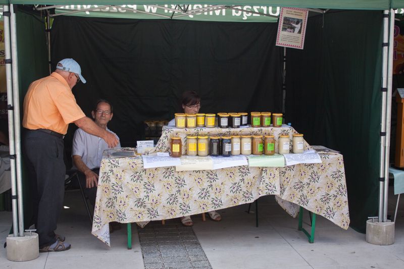 Stoisko z miodami podczas wydarzenia o nazwie: VII Święto Miodu w Pszczynie. Autor zdjęcia: Kazimierz Wiśniowski