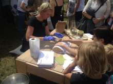 Uczestniczki XV Spotkania Pszczelarzy na Trutowisku w Murckach mogły skorzystać z bezpłatnego peelingu. Na zdjęciu etap II - dokładne rozsmarowanie.