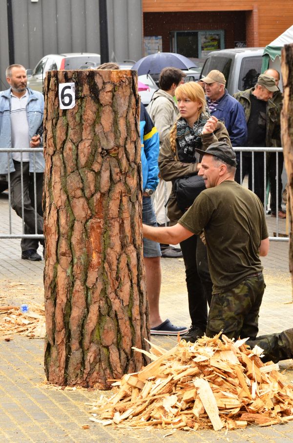 Barciowisko 2015. Autor zdjęć: Katarzyna Judycka (Pasieka u Alfreda).
