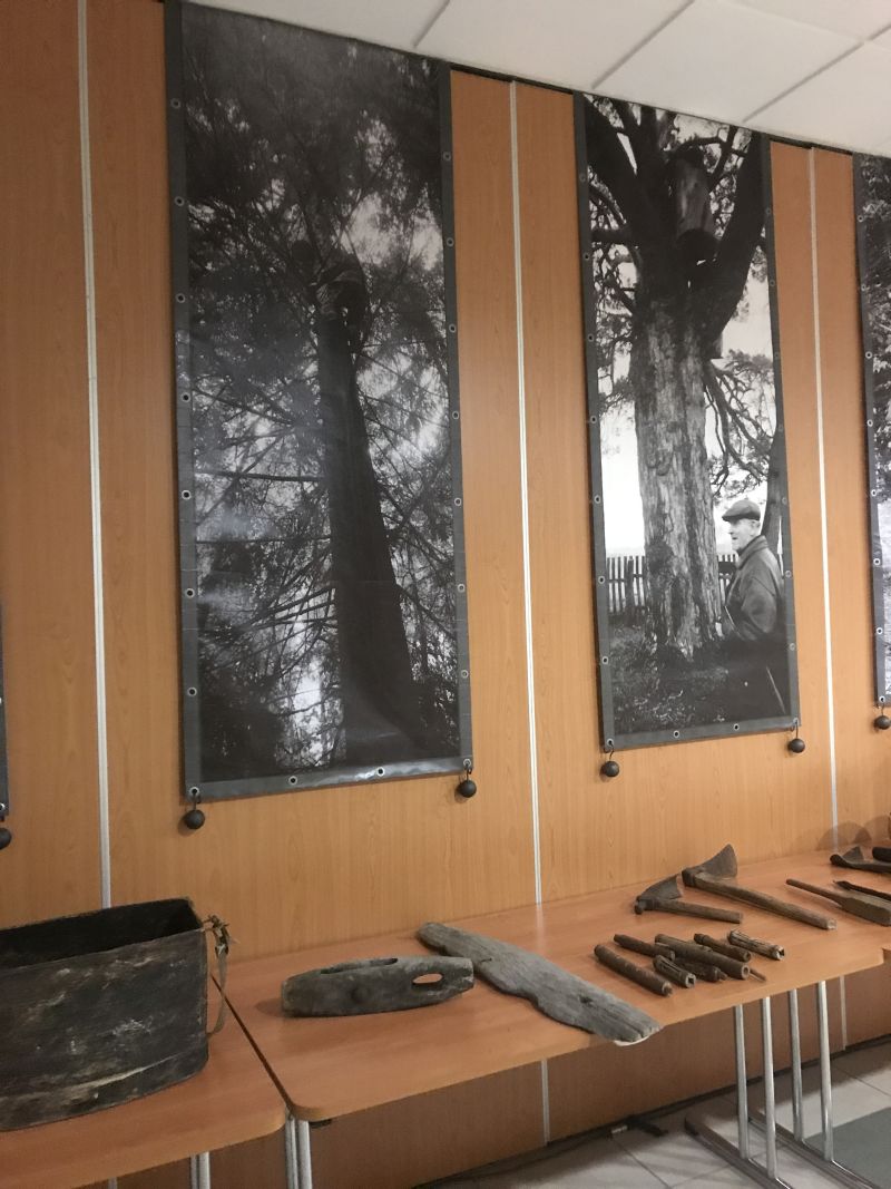 Międzynarodowa Konferencja Bartnicza pt. Dekada Polskiego Bartnictwa. Spała 2017. Autor zdjęć: Małgorzata Brendel