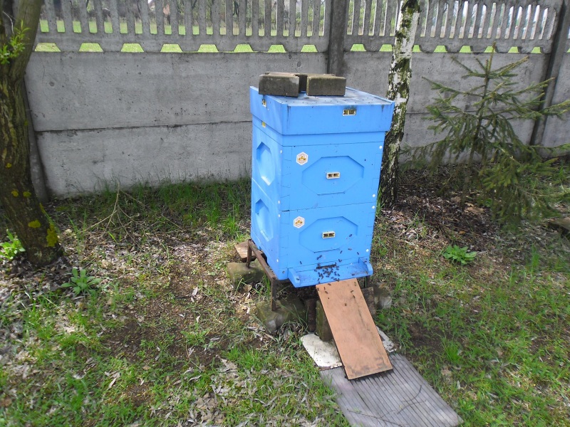 Ul styropianowy. Autor zdjęcia: Teresa Jakubowska