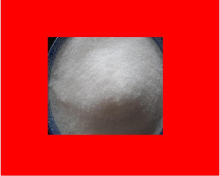 CUKIER dla pszczół. POLSKI. Dla pszczelarzy i związków pszczelarskich