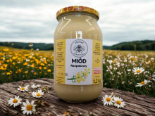Miód Rzepakowy z Pojezierza Wałeckiego Pasieka Włodarczyk