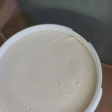 rzepak 2025 wzorcowy