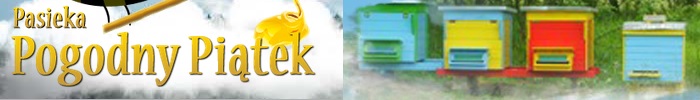 Pasieka Pszczelarska Michał Piątek
