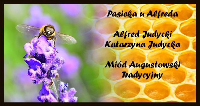 Pasieka u Alfreda Alfred Judycki Katarzyna Judycka