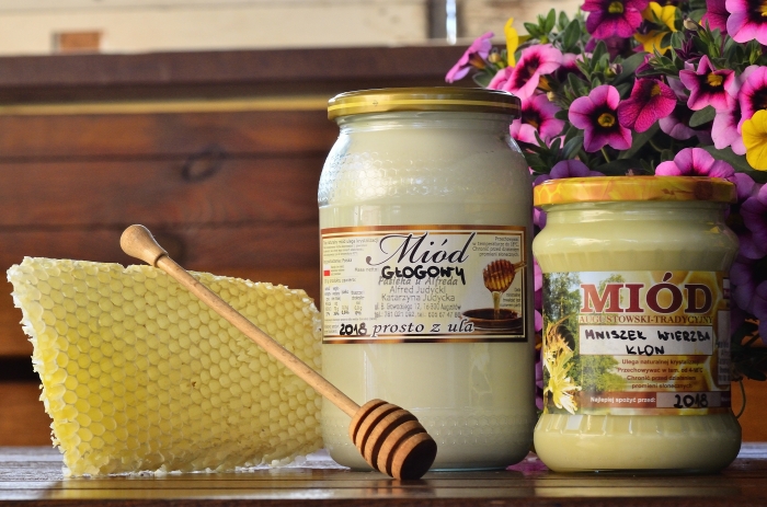 Pasieka u Alfreda Alfred Judycki Katarzyna Judycka